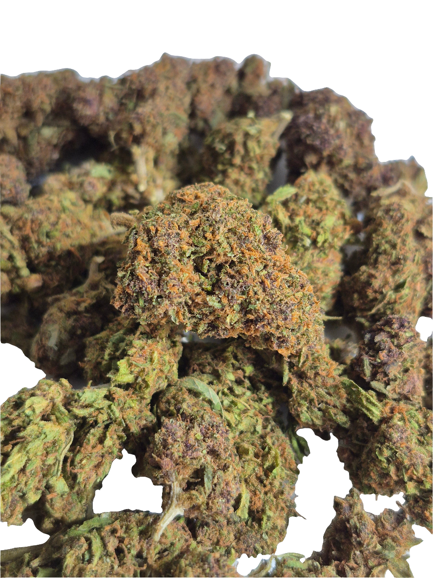 FLEURS CBD - PURPLE CITRUS " Glass House"