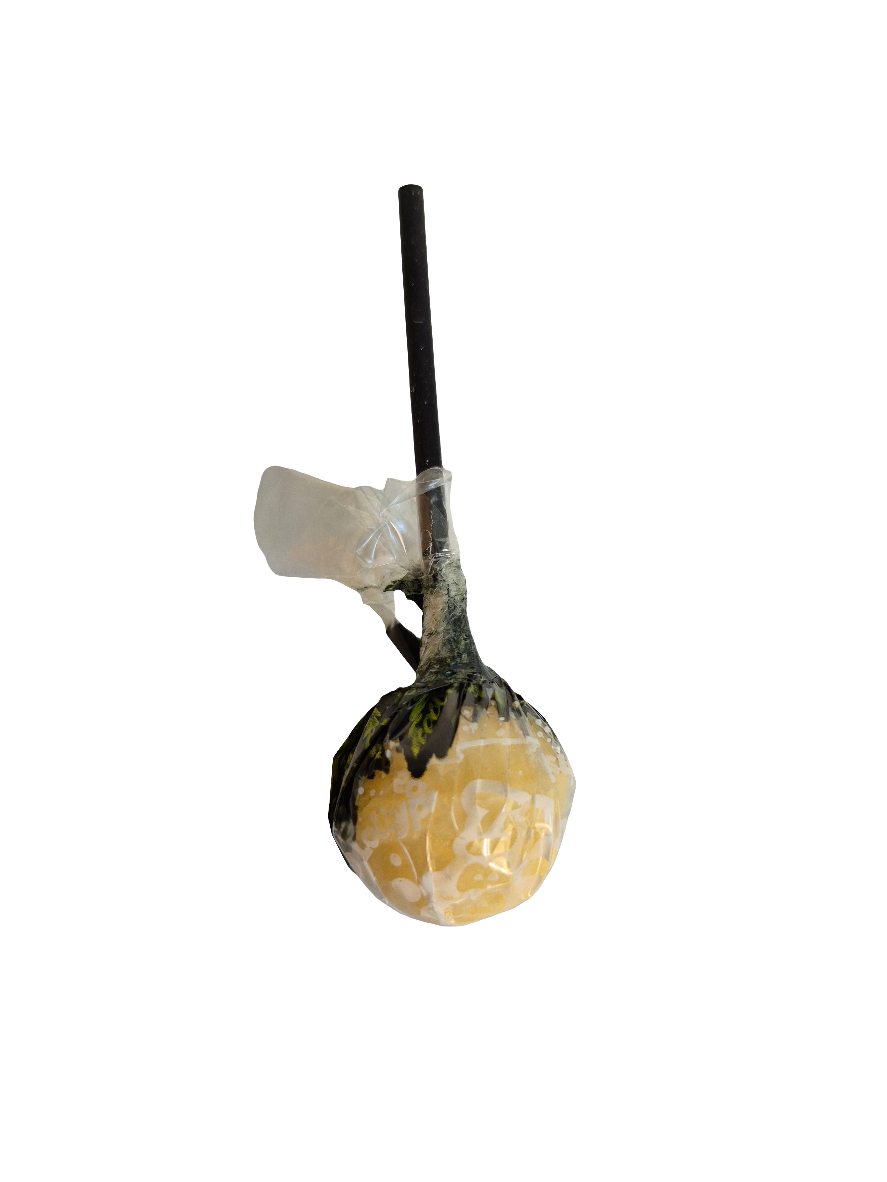 Sucette avec Chewing-gum au CBD 10mg - Lollypops Bubbly Billy buds 20% CBD - Ananas acidulé -