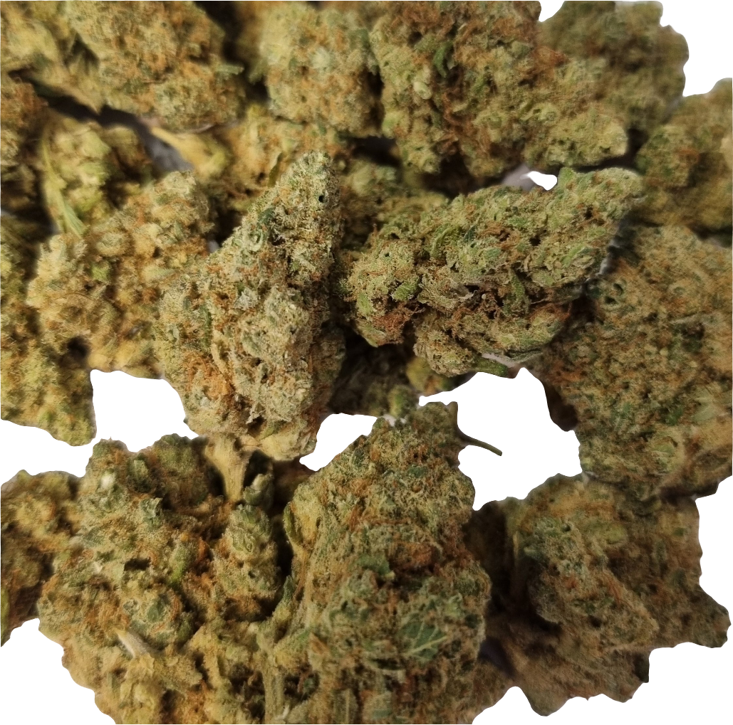 Fleurs de CBD - Jungle cake Ice Cream « indoor »