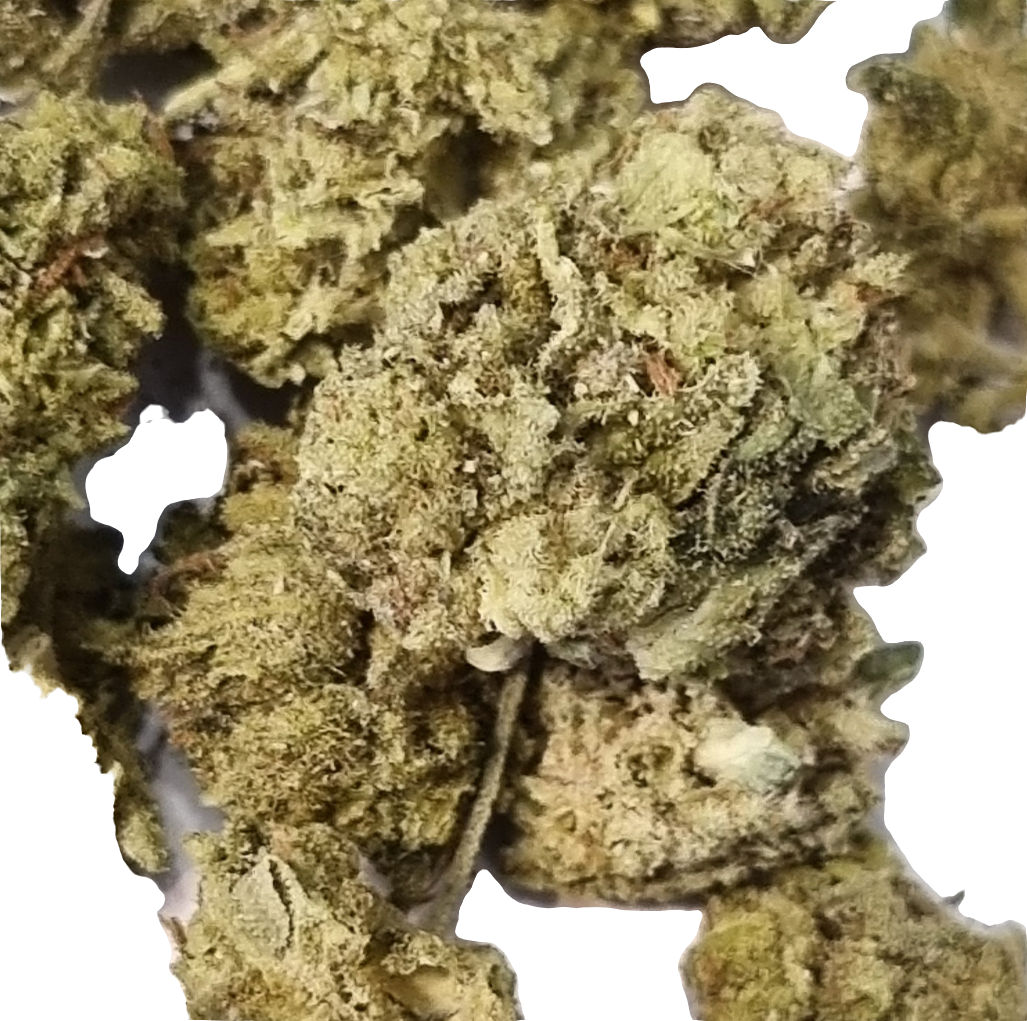 Fleurs CBD - Hybride LEMON/BUBBLE "sb indoor"