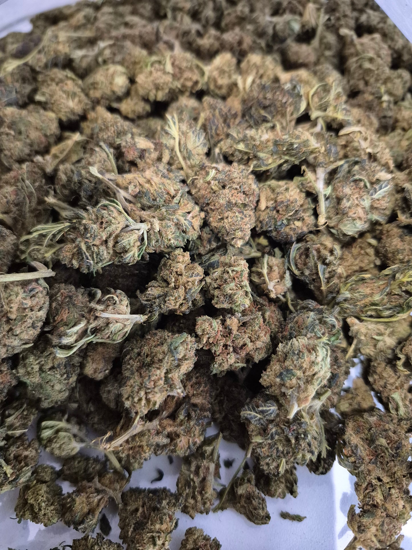Fleur CBD Cherry Bomb CBX : Une Explosion de Saveurs