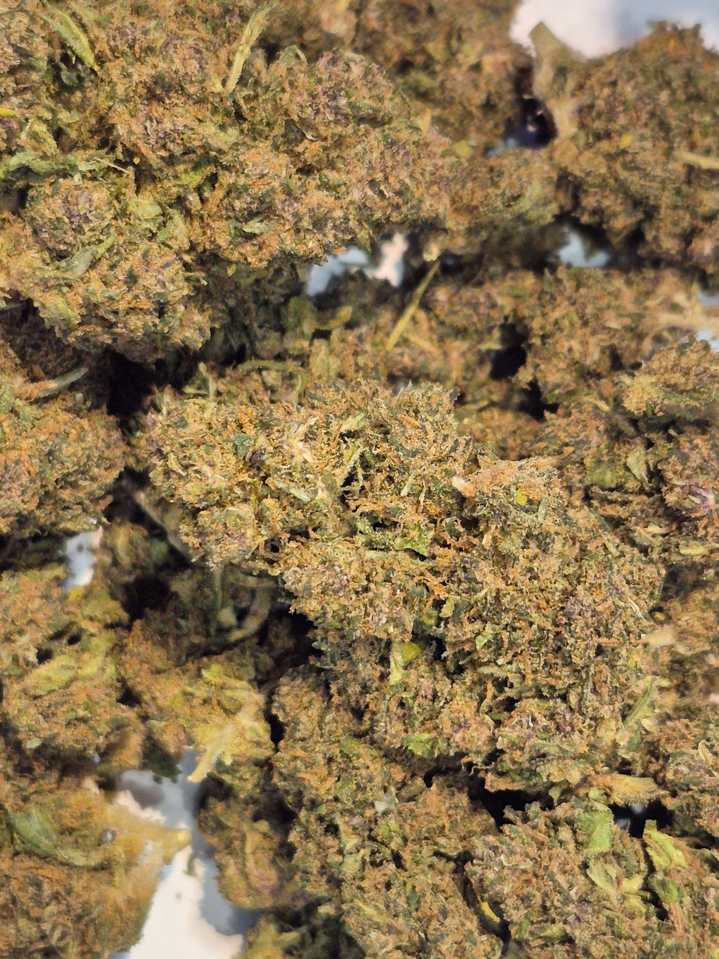 Fleurs CBD - Lemon Haze - Green House