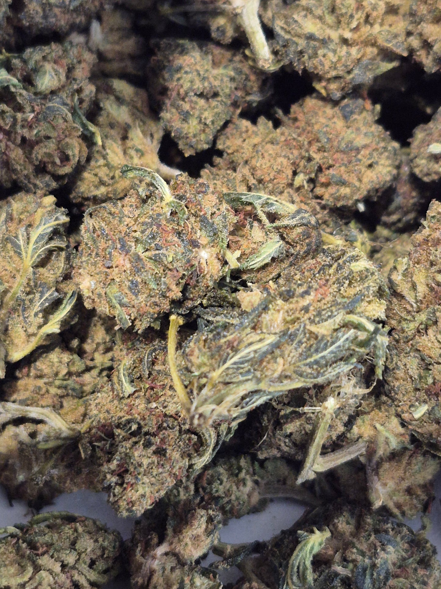 Fleur CBD Cherry Bomb CBX : Une Explosion de Saveurs