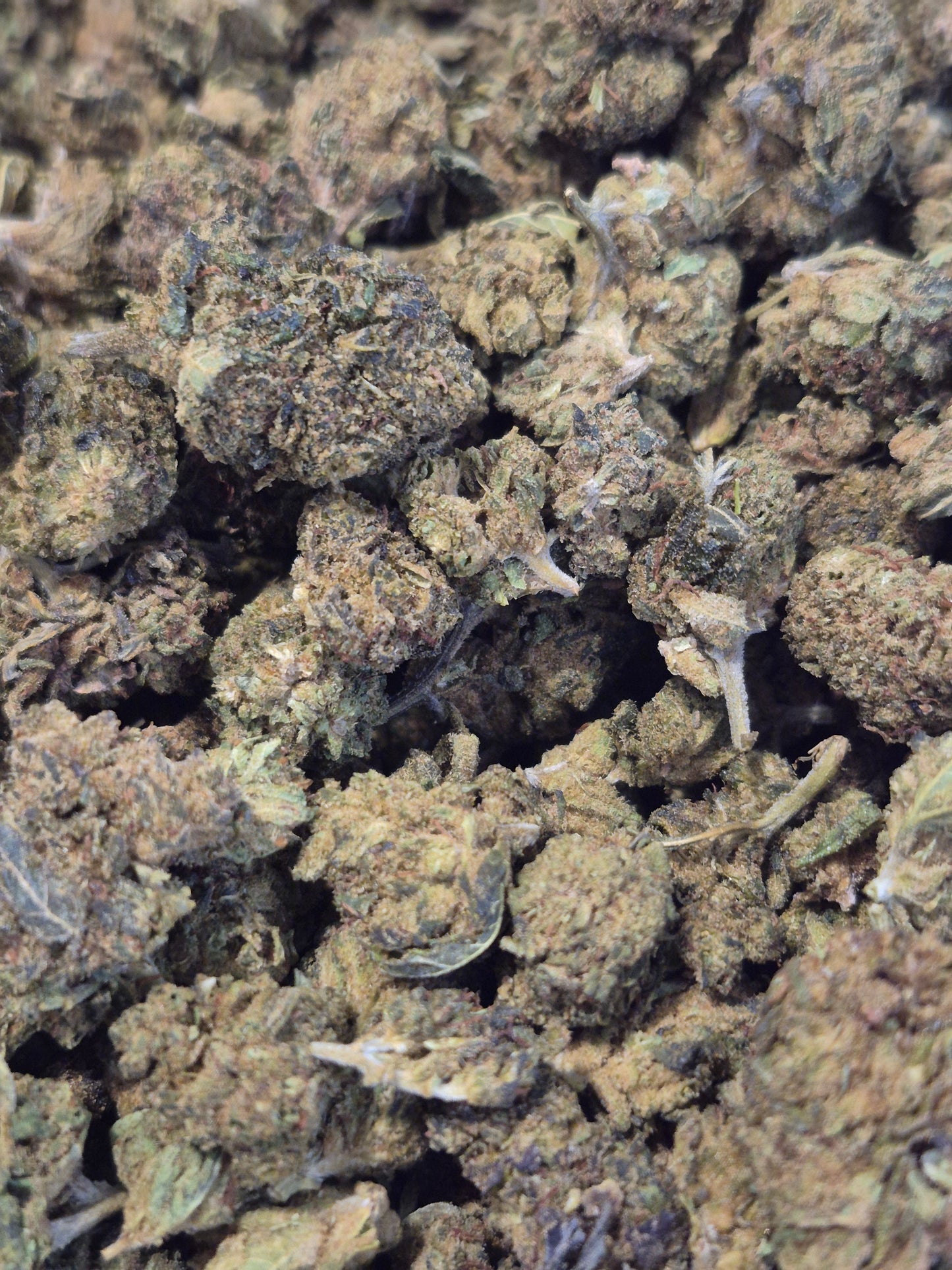 CBD Forbidden Fruit CBX - Fleur Premium & Arômes Exotiques - Jack CBD