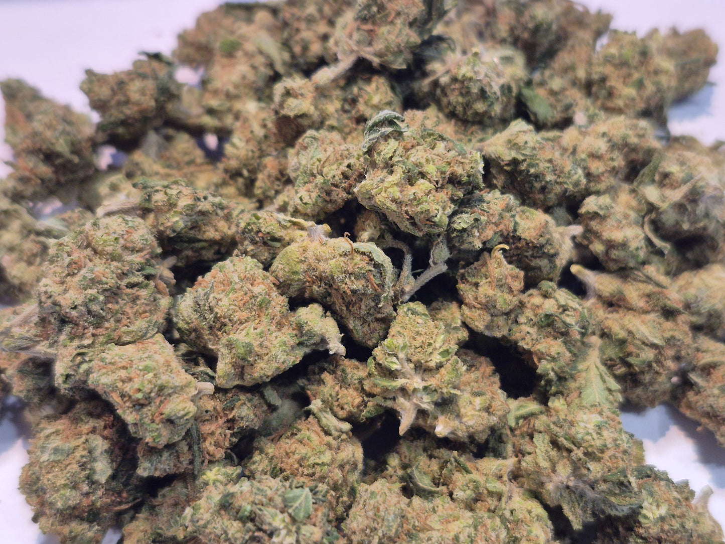 Fleurs CBD - Critical - Small bud - Indoor