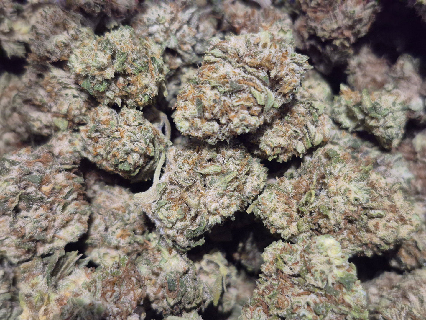 🇺🇸 PACK PROMO 20g - FLEURS CBD USA FIVE STAR 🇺🇸