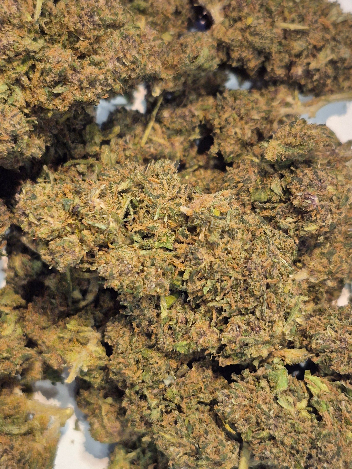 Fleurs CBD - Lemon Haze - Green House