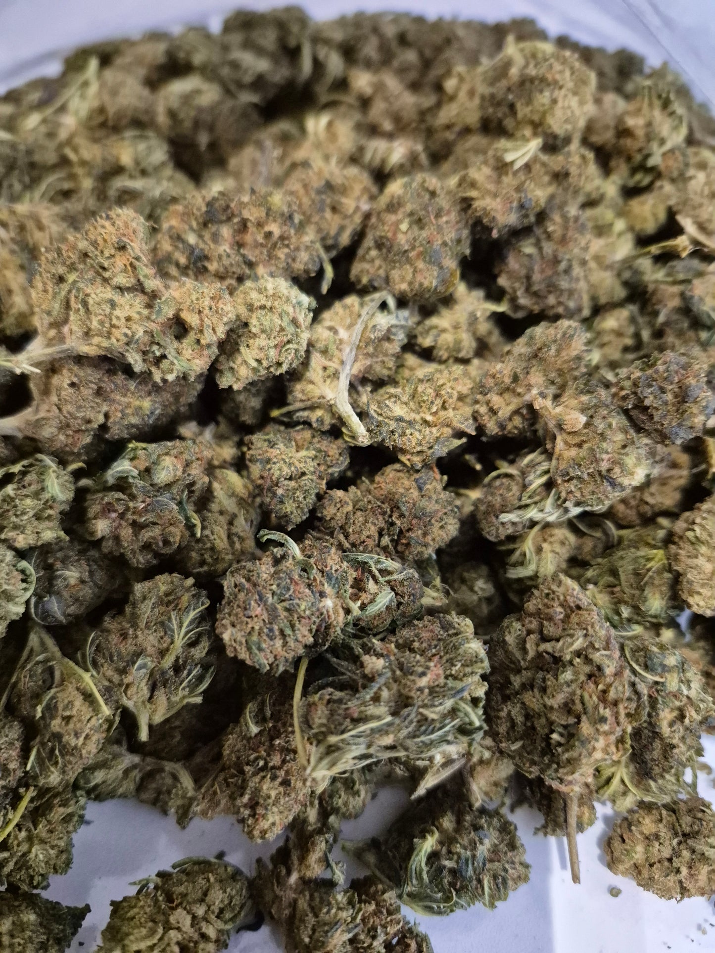 Fleur CBD Cherry Bomb CBX : Une Explosion de Saveurs