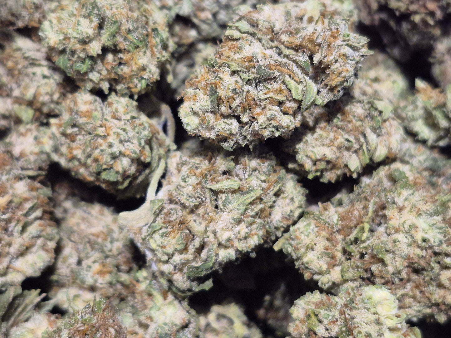 🇺🇸 PACK PROMO 20g - FLEURS CBD USA FIVE STAR 🇺🇸