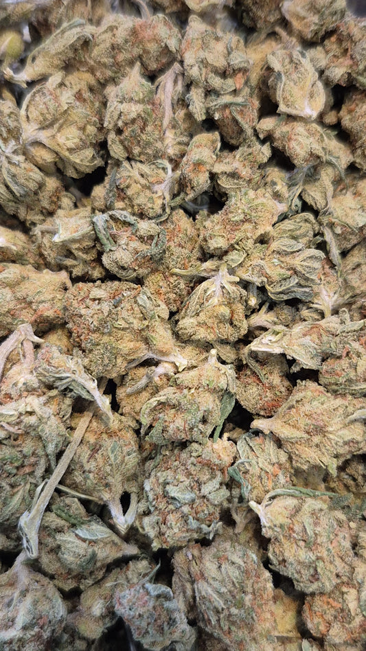 Fleur White Widow Small Bud CBD 14% — Indoor