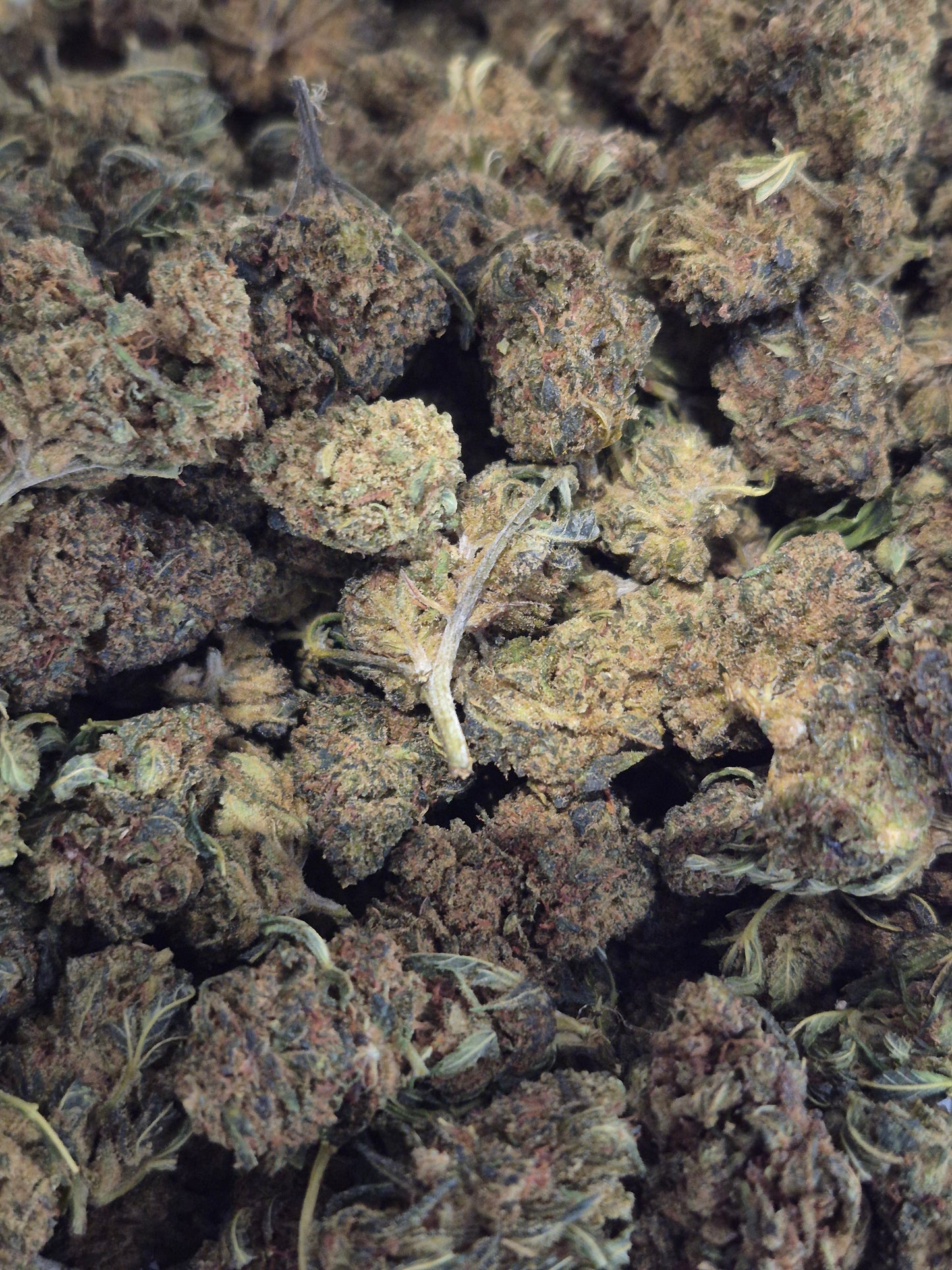 Fleur CBD Cherry Bomb CBX : Une Explosion de Saveurs