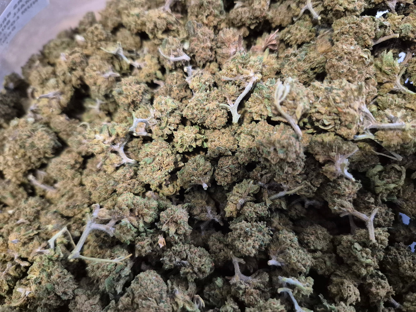 FLEURS CBD - SMALL BUD - LEMON - GLASS HOUSE