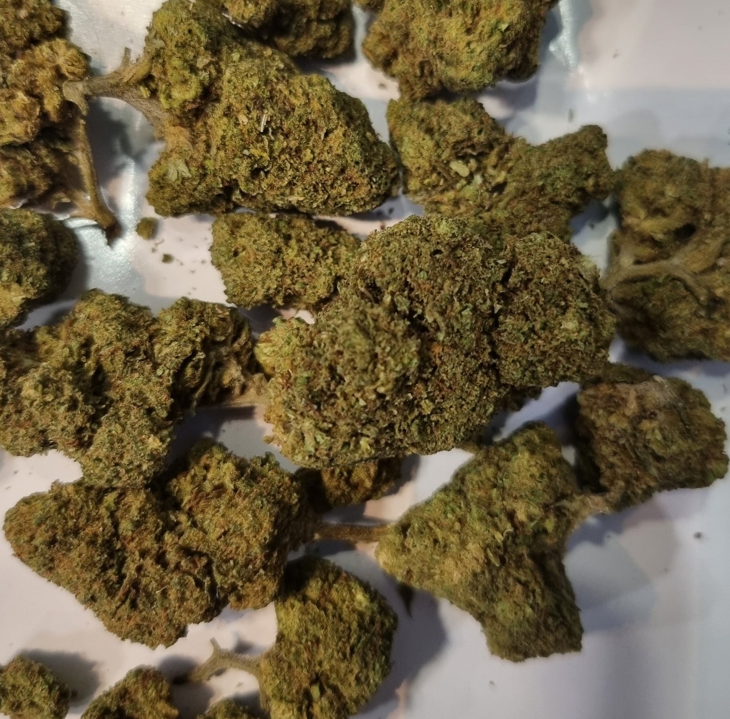 Fleurs CBD - White widow - Indoor