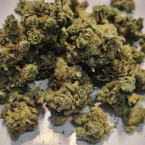 Fleurs White widow - CBX - Jack CBD